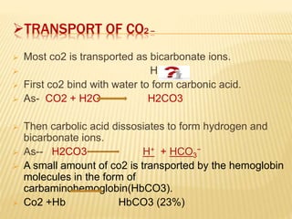 TRANSPORT OF CO2 --
 Most co2 is transported as bicarbonate ions.
 HOW??
 First co2 bind with water to form carbonic acid.
 As- CO2 + H2O H2CO3
 Then carbolic acid dissosiates to form hydrogen and
bicarbonate ions.
 As-- H2CO3 H+ + HCO3
−
 A small amount of co2 is transported by the hemoglobin
molecules in the form of
carbaminohemoglobin(HbCO3).
 Co2 +Hb HbCO3 (23%)
 