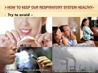 HOW TO KEEP OUR RESPIRATORY SYSTEM HEALTHY--
 Try to avoid --
 