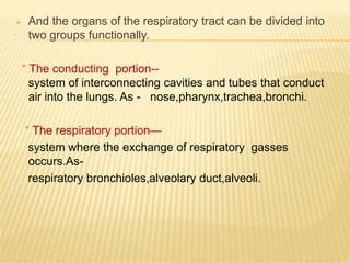 .
 And the organs of the respiratory tract can be divided into
two groups functionally.
* The conducting portion--
system of interconnecting cavities and tubes that conduct
air into the lungs. As - nose,pharynx,trachea,bronchi.
* The respiratory portion—
system where the exchange of respiratory gasses
occurs.As-
respiratory bronchioles,alveolary duct,alveoli.
 