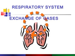 Copyright © 2003 Pearson Education, Inc. publishing as Benjamin Cummings.
RESPIRATORY SYSTEM
PowerPoint®
Lecture Slide Presentation by Robert J. Sullivan, Marist College
EXCHANGE OF GASES
 