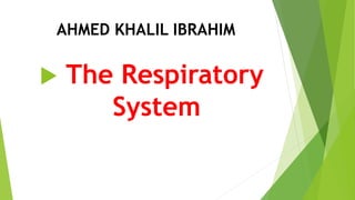 AHMED KHALIL IBRAHIM
 The Respiratory
System
 