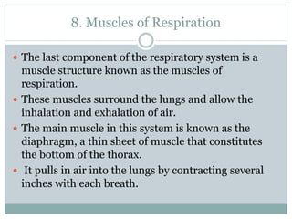 8. Muscles of Respiration
 The last component of the respiratory system is a
muscle structure known as the muscles of
respiration.
 These muscles surround the lungs and allow the
inhalation and exhalation of air.
 The main muscle in this system is known as the
diaphragm, a thin sheet of muscle that constitutes
the bottom of the thorax.
 It pulls in air into the lungs by contracting several
inches with each breath.
 