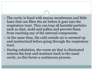  The cavity is lined with mucus membranes and little
hairs that can filter the air before it goes into the
respiratory tract. They can trap all harmful particles
such as dust, mold and pollen and prevent them
from reaching any of the internal components.
 At the same time, the cold outside air is warmed up
and moisturized before going through the respiratory
tract.
 During exhalation, the warm air that is eliminated
returns the heat and moisture back to the nasal
cavity, so this forms a continuous process.
 