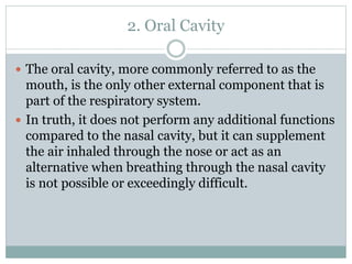 2. Oral Cavity
 The oral cavity, more commonly referred to as the
mouth, is the only other external component that is
part of the respiratory system.
 In truth, it does not perform any additional functions
compared to the nasal cavity, but it can supplement
the air inhaled through the nose or act as an
alternative when breathing through the nasal cavity
is not possible or exceedingly difficult.
 