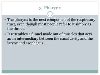 3. Pharynx
 The pharynx is the next component of the respiratory
tract, even though most people refer to it simply as
the throat.
 It resembles a funnel made out of muscles that acts
as an intermediary between the nasal cavity and the
larynx and esophagus
 