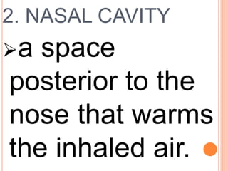2. NASAL CAVITY
a space
posterior to the
nose that warms
the inhaled air.
 