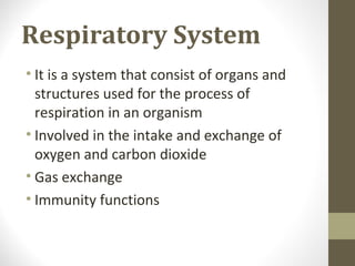Respiratory System
• It is a system that consist of organs and
structures used for the process of
respiration in an organism
• Involved in the intake and exchange of
oxygen and carbon dioxide
• Gas exchange
• Immunity functions