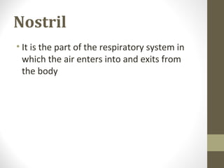 Nostril
• It is the part of the respiratory system in
which the air enters into and exits from
the body