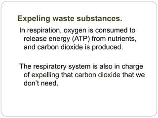 Expeling waste substances.
In respiration, oxygen is consumed to
release energy (ATP) from nutrients,
and carbon dioxide i...
