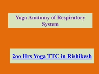 Yoga Anatomy of Respiratory
System
2oo Hrs Yoga TTC in Rishikesh
 