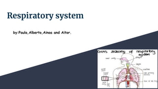 Respiratory system
by:Paula,Alberto,Ainoa and Aitor.
 