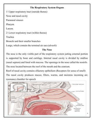 3
The Respiratory System Organs
1 Upper respiratory tract (outside thorax)
Nose and nasal cavity
Paranasal sinuses
Pharynx
Larynx
2 Lower respiratory tract (within thorax)
Trachea
Bronchi and their smaller branches
Lungs, which contain the terminal air sacs (alveoli)
The Nose
The nose is the only visible part of the respiratory system jutting external portion
is supported by bone and cartilage. Internal nasal cavity is divided by midline
(nasal septum) and lined with mucosa. The openings in the nose called the nostrils.
The nose located between the roof of the mouth and the cranium.
Roof of nasal cavity contains olfactory epithelium (Receptors for sense of smell)
The nasal cavity produces mucus; filters, warms, and moistens incoming air;
resonance chamber for speech
 