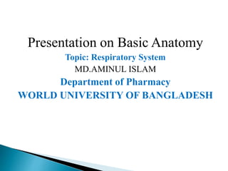 Presentation on Basic Anatomy
Topic: Respiratory System
MD.AMINUL ISLAM
Department of Pharmacy
WORLD UNIVERSITY OF BANGLADESH
 