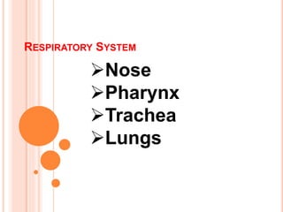 RESPIRATORY SYSTEM
Nose
Pharynx
Trachea
Lungs
 