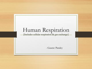 Human Respiration
{Includes cellular respiration & gas exchange}
- Gaurav Pandey
 