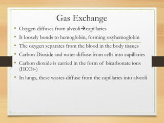 Gas Exchange
• Oxygen diffuses from alveolicapillaries
• It loosely bonds to hemoglobin, forming oxyhemoglobin
• The oxygen separates from the blood in the body tissues
• Carbon Dioxide and water diffuse from cells into capillaries
• Carbon dioxide is carried in the form of bicarbonate ions
(HCO3-)
• In lungs, these wastes diffuse from the capillaries into alveoli
 
