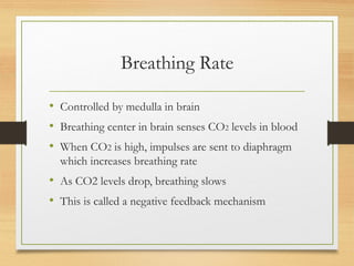 Breathing Rate
• Controlled by medulla in brain
• Breathing center in brain senses CO2 levels in blood
• When CO2 is high, impulses are sent to diaphragm
which increases breathing rate
• As CO2 levels drop, breathing slows
• This is called a negative feedback mechanism
 
