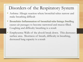 Disorders of the Respiratory System
• Asthma: Allergic reaction where bronchial tubes narrow and
make breathing difficult
• Bronchitis: Inflammation of bronchial tube linings. Swelling
causes air passages to become narrowed and mucus filled.
Coughing and difficulty breathing is a result
• Emphysema: Walls of the alveoli break down. This decreases
surface area. Shortness of breath, difficulty in breathing,
decreased lung capacity is a result
 