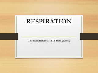 RESPIRATION
The manufacture of ATP from glucose
 