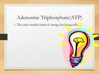 Adenosine Triphosphate(ATP)
• The only useable form of energy for living cells
 