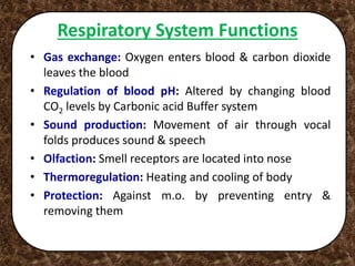 Respiratory System Functions
• Gas exchange: Oxygen enters blood & carbon dioxide
leaves the blood
• Regulation of blood pH: Altered by changing blood
CO2 levels by Carbonic acid Buffer system
• Sound production: Movement of air through vocal
folds produces sound & speech
• Olfaction: Smell receptors are located into nose
• Thermoregulation: Heating and cooling of body
• Protection: Against m.o. by preventing entry &
removing them
 