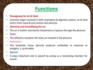 Functions
• Passageway for air & food:
• Common organ involved in both respiratory & digestive system, air & food
enters from nasal & oral section into pharynx
• Warming and humidifying the air:
• The air is further warmed & moistened as it passes through the pharynx.
• Taste:
• The olfactory receptors for taste are located in the pharynx.
• Protection:
• The lymphatic tissue (tonsils) produces antibodies in response to
antigens. e. g microbes.
• Speech:
• It plays important role in speech by acting as a resonating chamber for
sound.
 