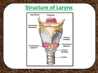 Structure of Larynx
 