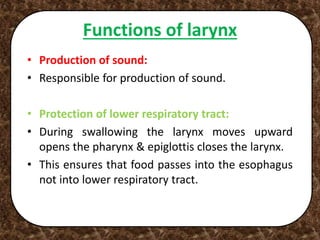 Functions of larynx
• Production of sound:
• Responsible for production of sound.
• Protection of lower respiratory tract:
• During swallowing the larynx moves upward
opens the pharynx & epiglottis closes the larynx.
• This ensures that food passes into the esophagus
not into lower respiratory tract.
 