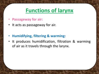 Functions of larynx
• Passageway for air:
• It acts as passageway for air.
• Humidifying, filtering & warming:
• It produces humidification, filtration & warming
of air as it travels through the larynx.
 