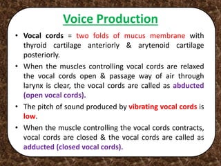 Voice Production
• Vocal cords = two folds of mucus membrane with
thyroid cartilage anteriorly & arytenoid cartilage
posteriorly.
• When the muscles controlling vocal cords are relaxed
the vocal cords open & passage way of air through
larynx is clear, the vocal cords are called as abducted
(open vocal cords).
• The pitch of sound produced by vibrating vocal cords is
low.
• When the muscle controlling the vocal cords contracts,
vocal cords are closed & the vocal cords are called as
adducted (closed vocal cords).
 