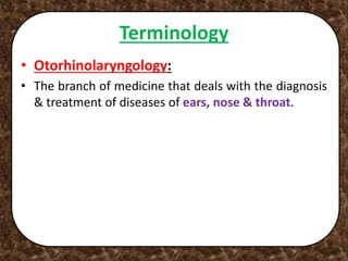 Terminology
• Otorhinolaryngology:
• The branch of medicine that deals with the diagnosis
& treatment of diseases of ears, nose & throat.
 