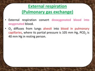 External respiration
(Pulmonary gas exchange)
• External respiration convert deoxygenated blood into
oxygenated blood.
• O2 diffuses from lungs alveoli into blood in pulmonary
capillaries, where its partial pressure is 105 mm Hg, PCO2 is
40 mm Hg in resting person.
 