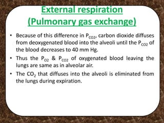 External respiration
(Pulmonary gas exchange)
• Because of this difference in PCO2, carbon dioxide diffuses
from deoxygenated blood into the alveoli until the PCO2 of
the blood decreases to 40 mm Hg.
• Thus the PO2 & PCO2 of oxygenated blood leaving the
lungs are same as in alveolar air.
• The CO2 that diffuses into the alveoli is eliminated from
the lungs during expiration.
 