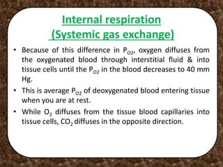 • Because of this difference in PO2, oxygen diffuses from
the oxygenated blood through interstitial fluid & into
tissue cells until the PO2 in the blood decreases to 40 mm
Hg.
• This is average PO2 of deoxygenated blood entering tissue
when you are at rest.
• While O2 diffuses from the tissue blood capillaries into
tissue cells, CO2 diffuses in the opposite direction.
Internal respiration
(Systemic gas exchange)
 