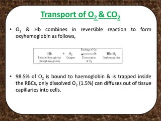 Transport of O2 & CO2
• O2 & Hb combines in reversible reaction to form
oxyhemoglobin as follows,
• 98.5% of O2 is bound to haemoglobin & is trapped inside
the RBCs, only dissolved O2 (1.5%) can diffuses out of tissue
capillaries into cells.
•98.5% of the O2 is bound to haemoglobin & is trapped inside the RBCs, only dissolved O2 (1.5%) can diffuses out of tissue capillaries into cells.
 