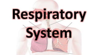Respiratory
System
 