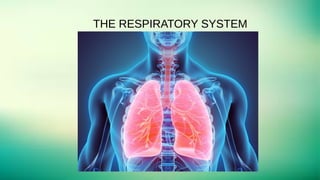 THE RESPIRATORY SYSTEM
 