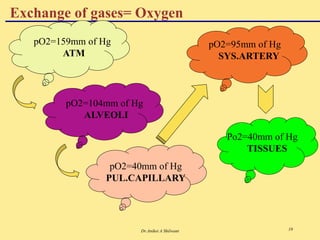Dr.Aniket A Shilwant 10
Exchange of gases= Oxygen
pO2=159mm of Hg
ATM
pO2=104mm of Hg
ALVEOLI
pO2=95mm of Hg
SYS.ARTERY
Po2=40mm of Hg
TISSUES
pO2=40mm of Hg
PUL.CAPILLARY
 