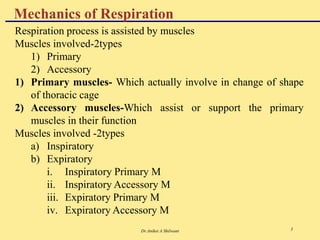 Dr.Aniket A Shilwant 3
Mechanics of Respiration
Respiration process is assisted by muscles
Muscles involved-2types
1) Primary
2) Accessory
1) Primary muscles- Which actually involve in change of shape
of thoracic cage
2) Accessory muscles-Which assist or support the primary
muscles in their function
Muscles involved -2types
a) Inspiratory
b) Expiratory
i. Inspiratory Primary M
ii. Inspiratory Accessory M
iii. Expiratory Primary M
iv. Expiratory Accessory M
 