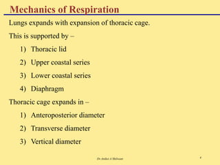 Dr.Aniket A Shilwant 4
Lungs expands with expansion of thoracic cage.
This is supported by –
1) Thoracic lid
2) Upper coastal series
3) Lower coastal series
4) Diaphragm
Thoracic cage expands in –
1) Anteroposterior diameter
2) Transverse diameter
3) Vertical diameter
Mechanics of Respiration
 