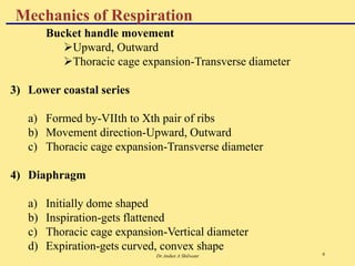 Dr.Aniket A Shilwant 6
Bucket handle movement
Upward, Outward
Thoracic cage expansion-Transverse diameter
3) Lower coastal series
a) Formed by-VIIth to Xth pair of ribs
b) Movement direction-Upward, Outward
c) Thoracic cage expansion-Transverse diameter
4) Diaphragm
a) Initially dome shaped
b) Inspiration-gets flattened
c) Thoracic cage expansion-Vertical diameter
d) Expiration-gets curved, convex shape
Mechanics of Respiration
 
