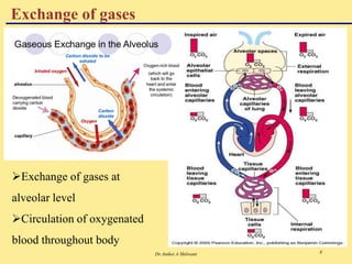 Dr.Aniket A Shilwant 8
Exchange of gases at
alveolar level
Circulation of oxygenated
blood throughout body
Exchange of gases
 