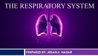 PREPARED BY: JEGAN.S. NADAR
THE RESPIRATORY SYSTEM
 