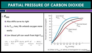 Pco2 In Shock Respiratory system | PDF