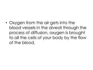 • Oxygen from the air gets into the
blood vessels in the alveoli through the
process of diffusion, oxygen is brought
to all the cells of your body by the flow
of the blood.
 
