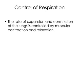 Control of Respiration
• The rate of expansion and constriction
of the lungs is controlled by muscular
contraction and relaxation.
 