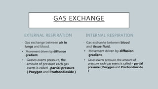EXTERNAL RESPIRATION
• Gas exchange between air in
lungs and blood.
• Gas exchanhe between blood
and tissue fluid.
INTERNAL RESPIRATION
GAS EXCHANGE
• Movement driven by diffusion
gradient.
• Gasses exerts pressure, the
amount of pressure each gas
exerts is called –partial pressure
( Poxygen and Pcarbondioxide )
• Movement driven by diffusion
gradient.
• Gases exerts pressure, the amount of
pressure each gas exerts is called – partial
pressure ( Poxygen and Pcarbondioxide
)
 