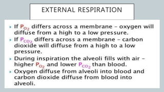 EXTERNAL RESPIRATION
 