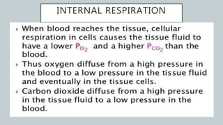 INTERNAL RESPIRATION
 