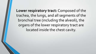 Lower respiratory tract: Composed of the
trachea, the lungs, and all segments of the
bronchial tree (including the alveoli), the
organs of the lower respiratory tract are
located inside the chest cavity.
 